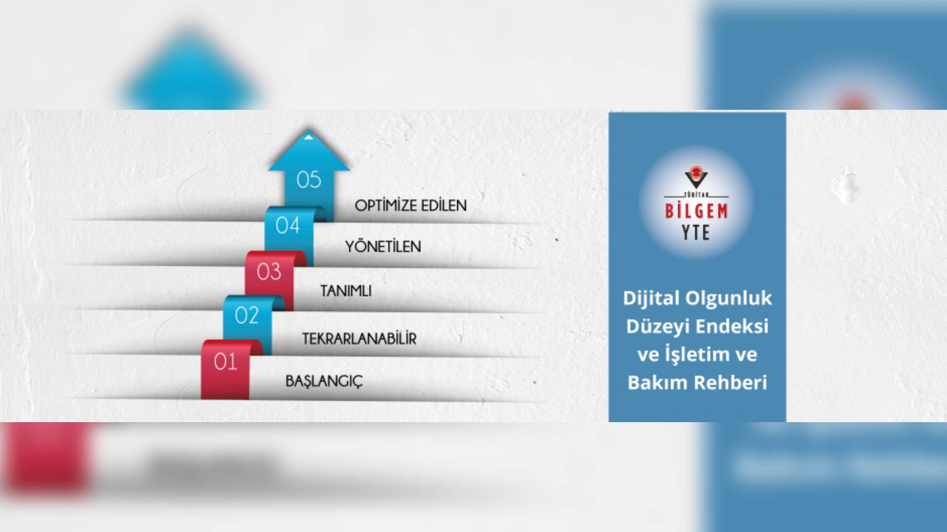 digital maturity model