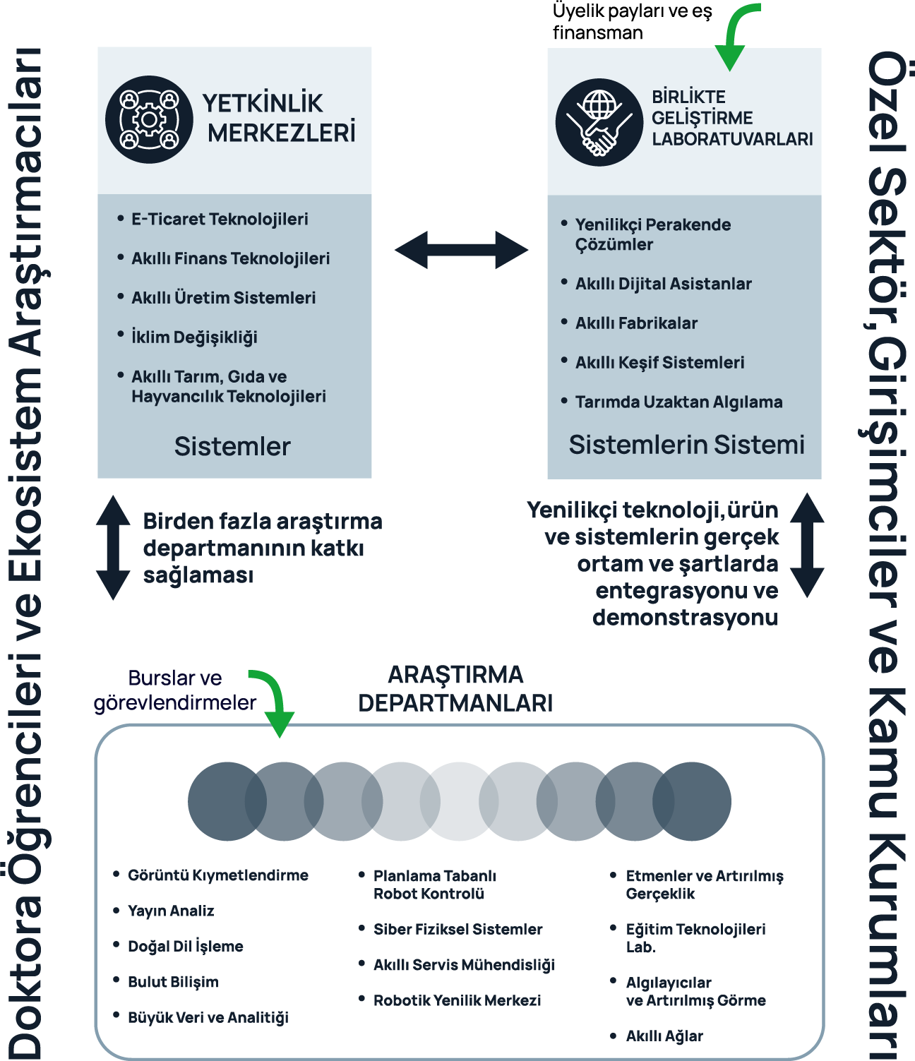 ecosystem-structuring-img